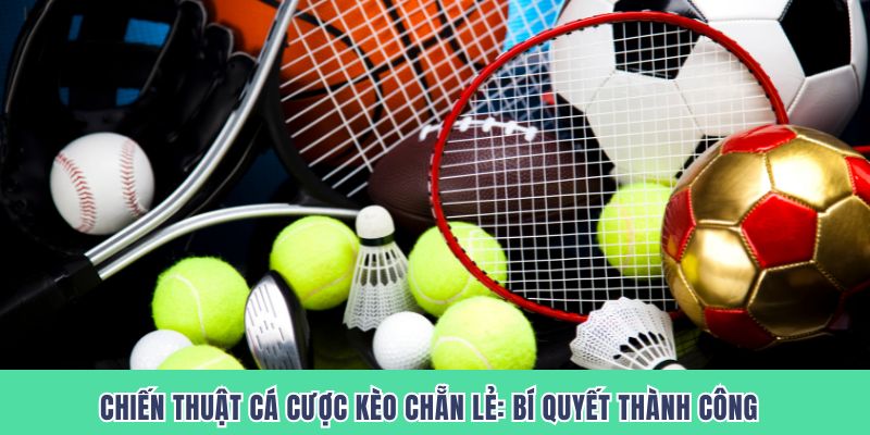 Chiến Thuật Cá Cược Kèo Chẵn Lẻ – Bí Quyết Thành Công