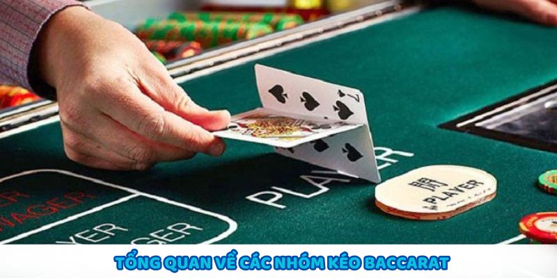 Khái quát các nhóm kèo trong Baccarat