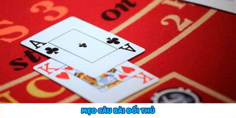 Mẹo câu bài đối thủ giúp làm khó và ngăn cản họ ăn bài