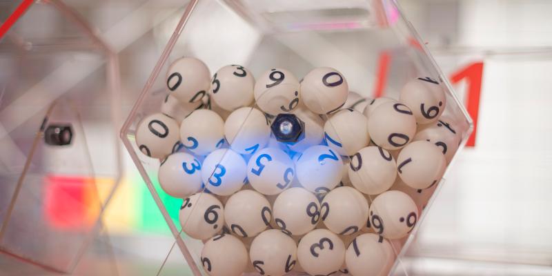 Tổng quan cách nuôi dàn cực chi tiết cho ai muốn biết