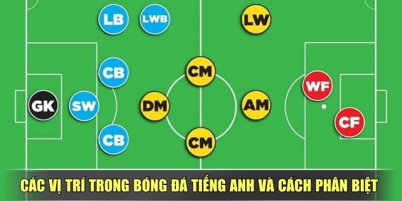 Các Vị Trí Trong Bóng Đá tiếng Anh Và Cách Phân Biệt